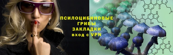 амф Верхний Тагил