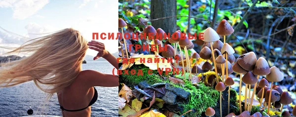 амф Верхний Тагил