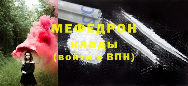 spice Богородск