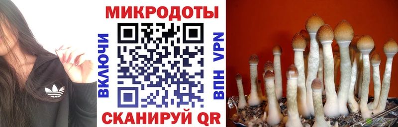 MEGA ССЫЛКА  Качканар  Галлюциногенные грибы GOLDEN TEACHER  где купить наркотик 